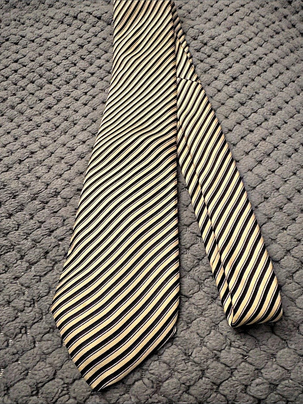 Christian Dior Men's Striped Silk Tie in Black & Cream